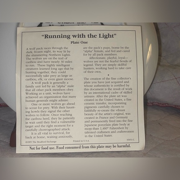 The Bradford Exchange "Running with the Light" by Desmond McCaffrey Plate #3519A - Picture 4 of 4